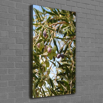 Stampa quadro su tela verticale Olive sull'albero