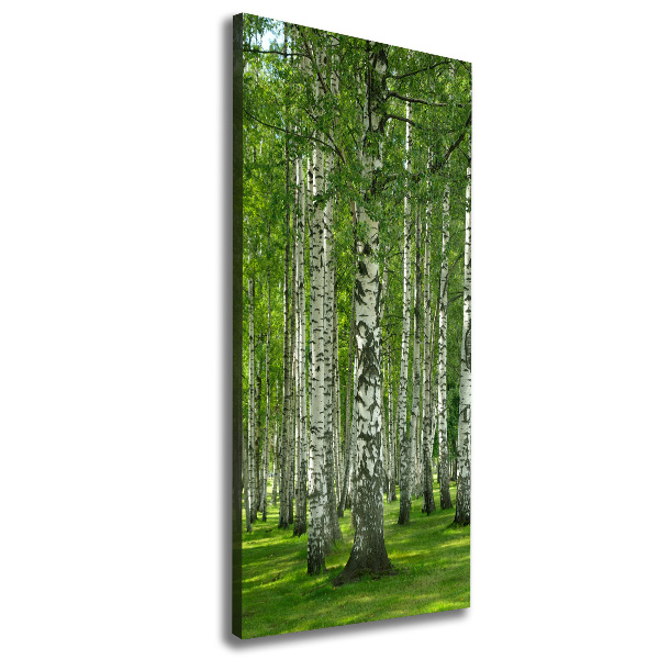 Quadro su tela canvas verticale Foresta di betulle