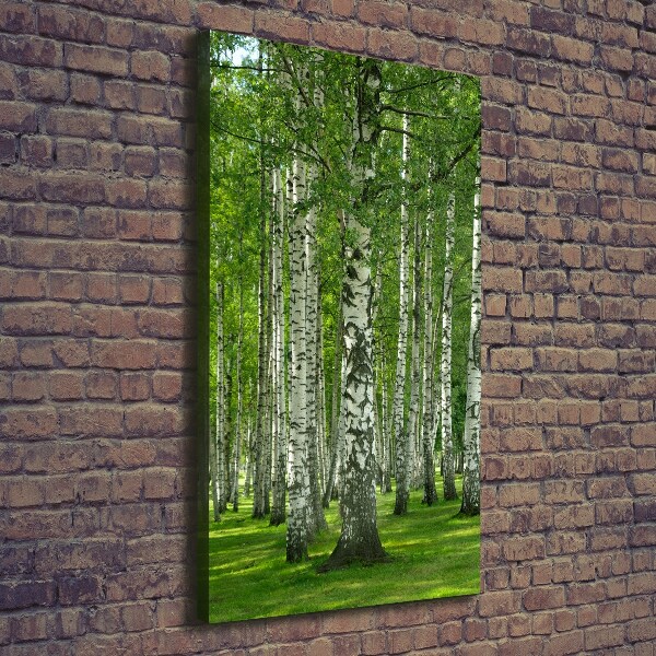 Quadro su tela canvas verticale Foresta di betulle