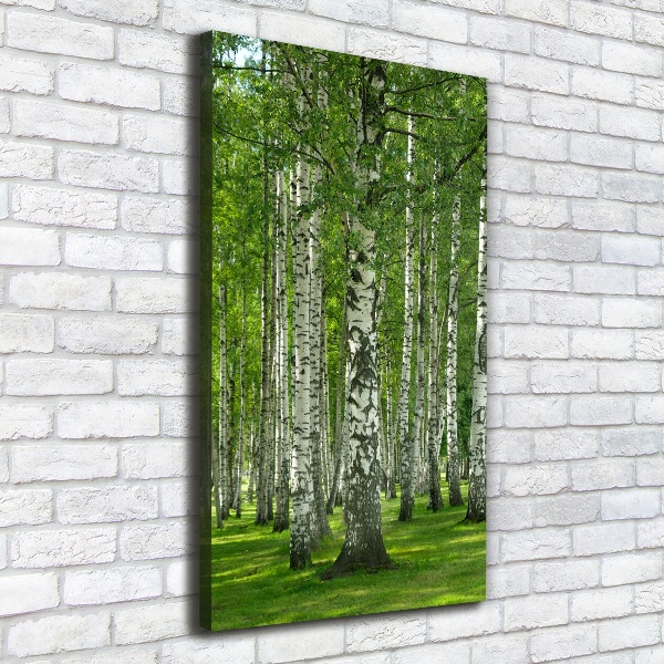 Quadro su tela canvas verticale Foresta di betulle