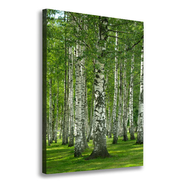Quadro su tela canvas verticale Foresta di betulle