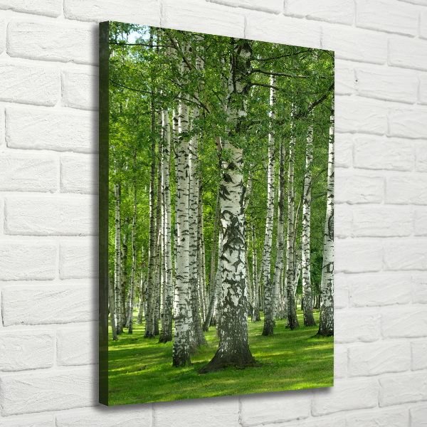 Quadro su tela canvas verticale Foresta di betulle