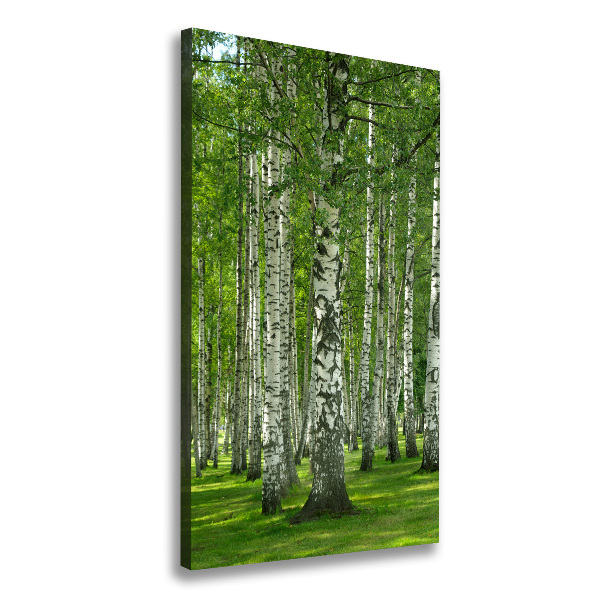 Quadro su tela canvas verticale Foresta di betulle