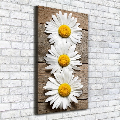 Quadro foto su tela verticale Camomilla su legno