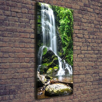 Quadro foto su tela verticale Cascata nella giungla