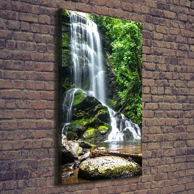 Quadro foto su tela verticale Cascata nella giungla
