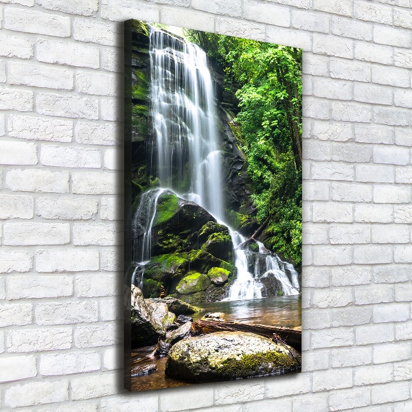 Quadro foto su tela verticale Cascata nella giungla