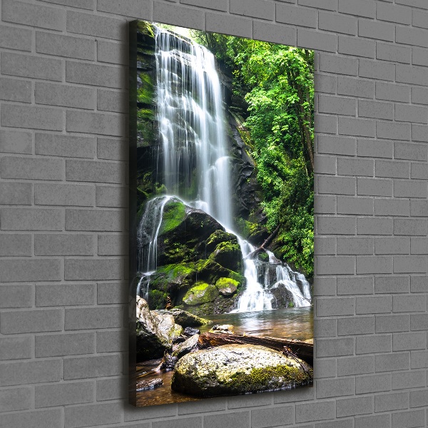 Quadro foto su tela verticale Cascata nella giungla