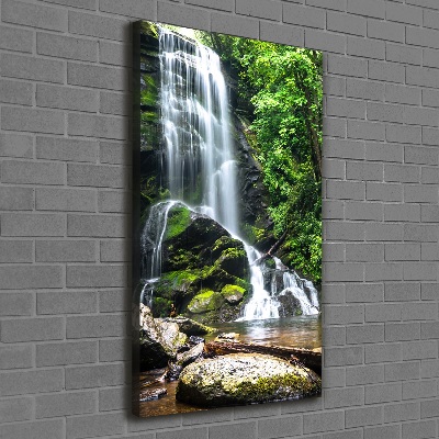 Quadro foto su tela verticale Cascata nella giungla