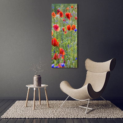 Quadro su tela canvas verticale Papaveri di campo