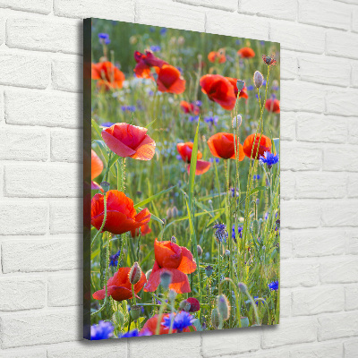 Quadro su tela canvas verticale Papaveri di campo