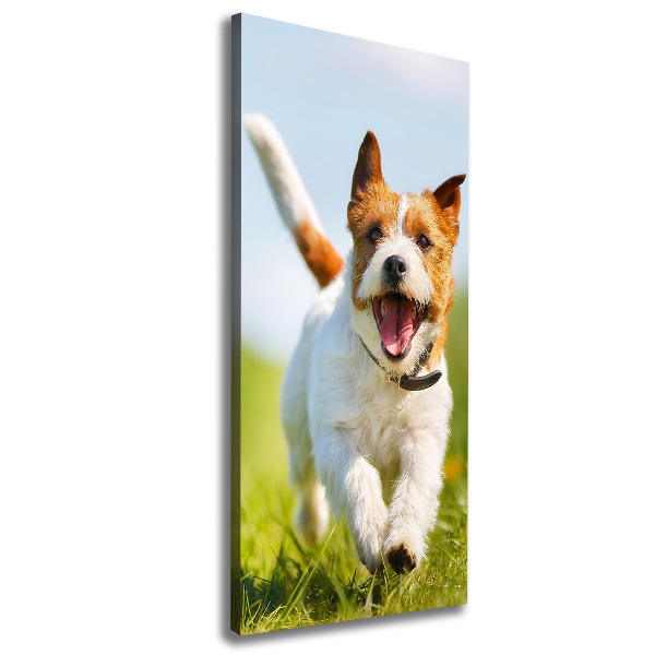 Quadro su tela canvas verticale Cane Jack Russell
