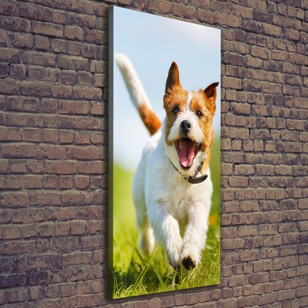 Quadro su tela canvas verticale Cane Jack Russell