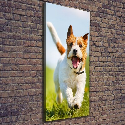Quadro su tela canvas verticale Cane Jack Russell