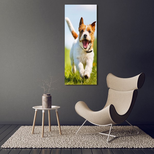 Quadro su tela canvas verticale Cane Jack Russell