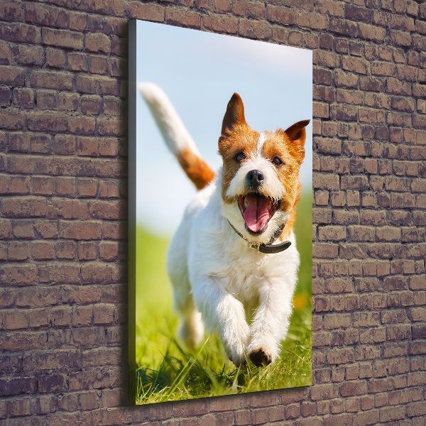 Quadro su tela canvas verticale Cane Jack Russell