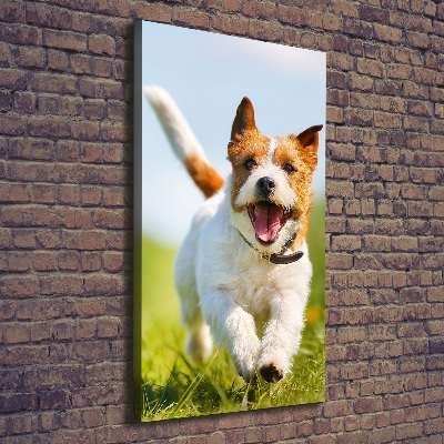 Quadro su tela canvas verticale Cane Jack Russell