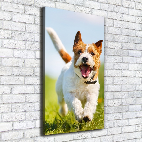 Quadro su tela canvas verticale Cane Jack Russell