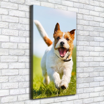 Quadro su tela canvas verticale Cane Jack Russell