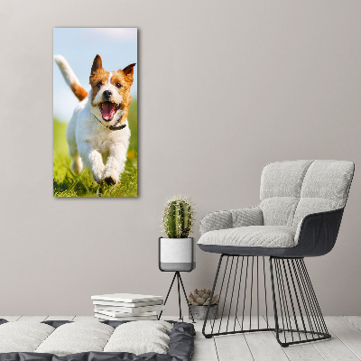 Quadro su tela canvas verticale Cane Jack Russell