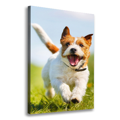 Quadro su tela canvas verticale Cane Jack Russell