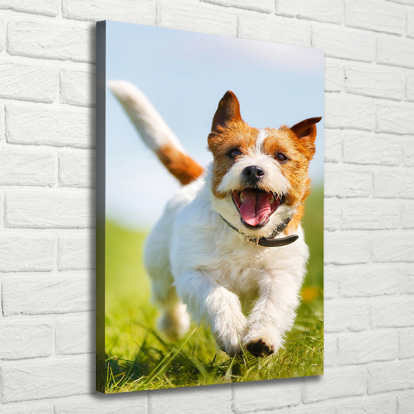 Quadro su tela canvas verticale Cane Jack Russell