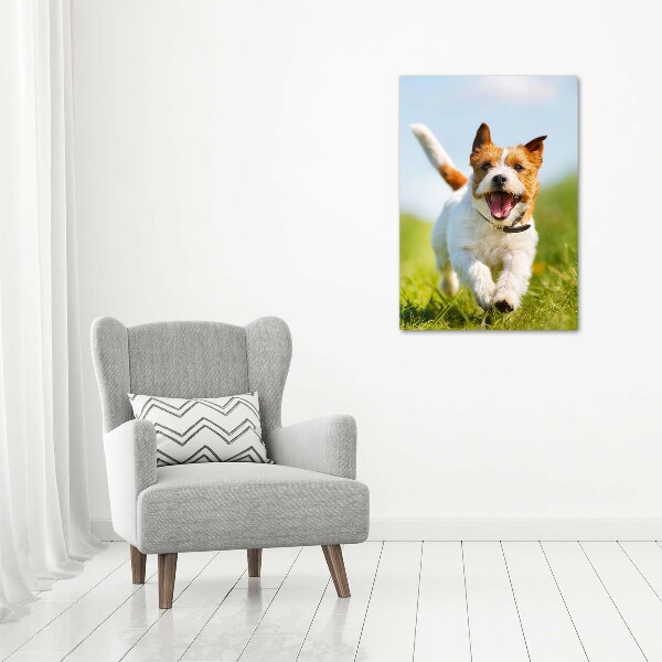 Quadro su tela canvas verticale Cane Jack Russell