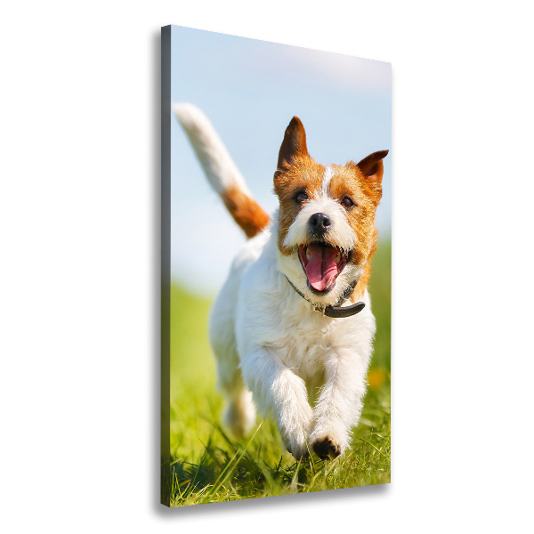 Quadro su tela canvas verticale Cane Jack Russell