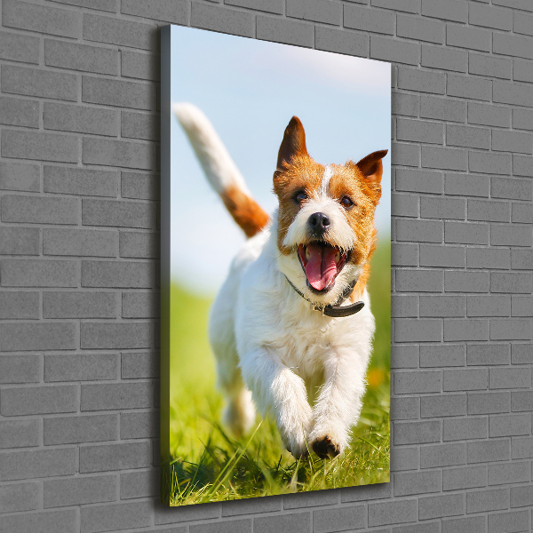Quadro su tela canvas verticale Cane Jack Russell