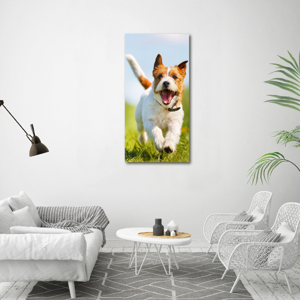 Quadro su tela canvas verticale Cane Jack Russell