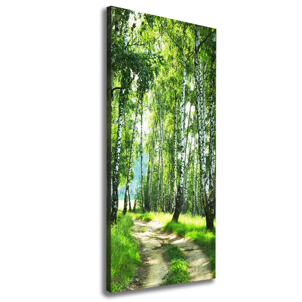 Quadro su tela canvas verticale Foresta di betulle