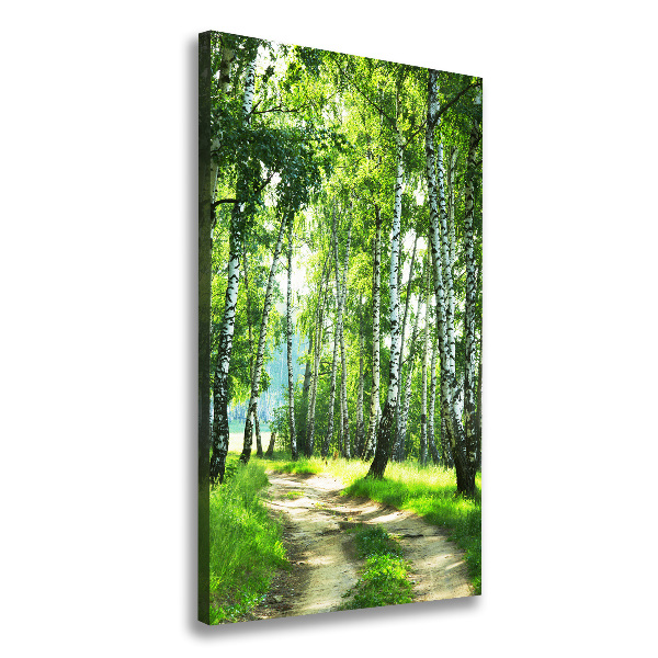 Quadro su tela canvas verticale Foresta di betulle