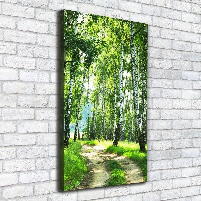 Quadro su tela canvas verticale Foresta di betulle