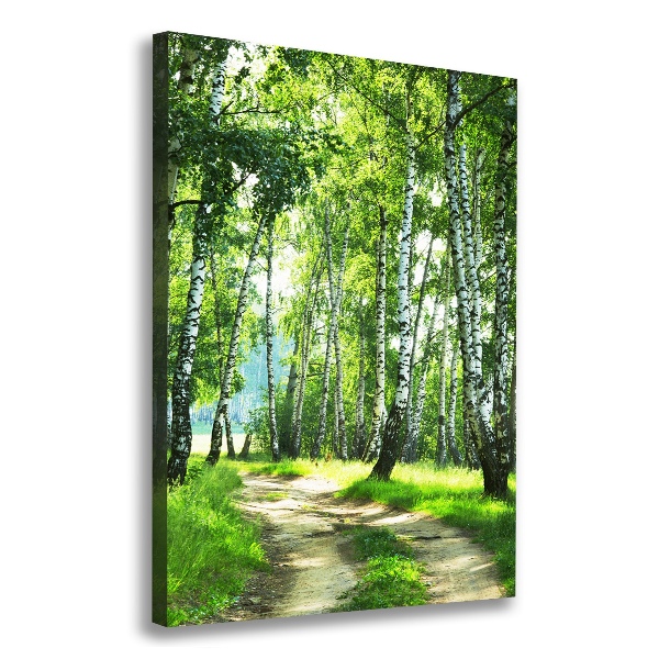 Quadro su tela canvas verticale Foresta di betulle