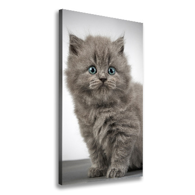 Quadro foto su tela verticale Gatto grigio britannico
