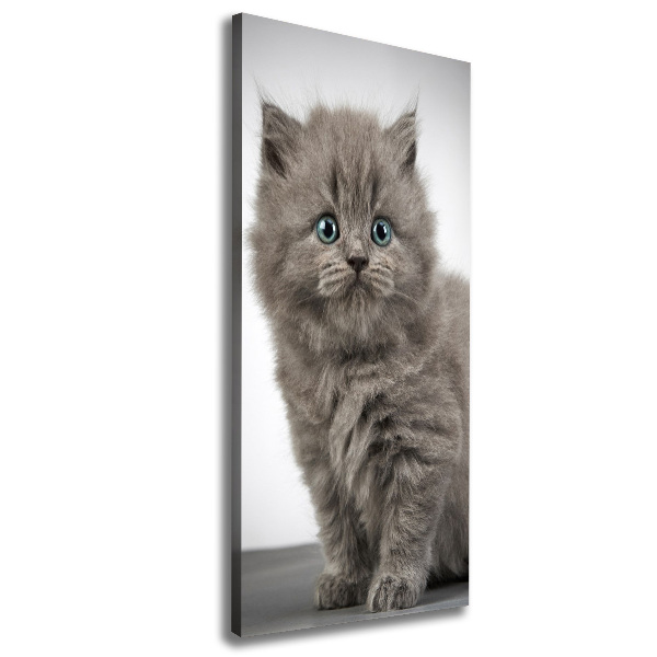 Quadro foto su tela verticale Gatto grigio britannico