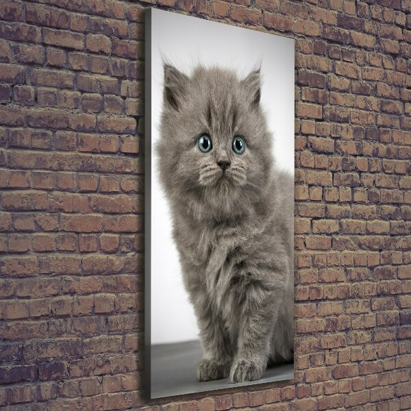 Quadro foto su tela verticale Gatto grigio britannico