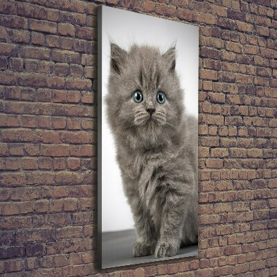 Quadro foto su tela verticale Gatto grigio britannico