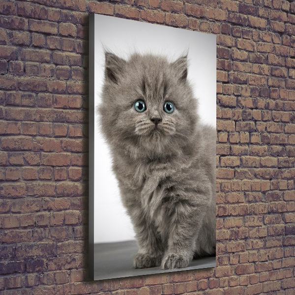 Quadro foto su tela verticale Gatto grigio britannico