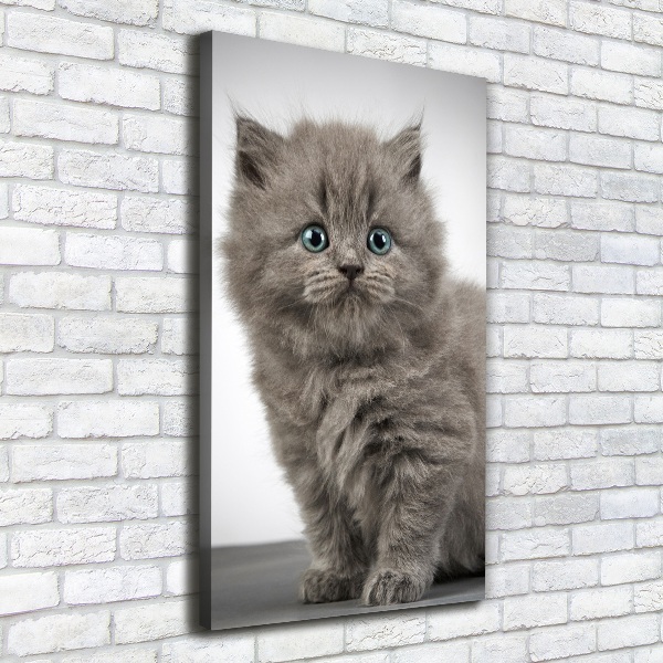 Quadro foto su tela verticale Gatto grigio britannico