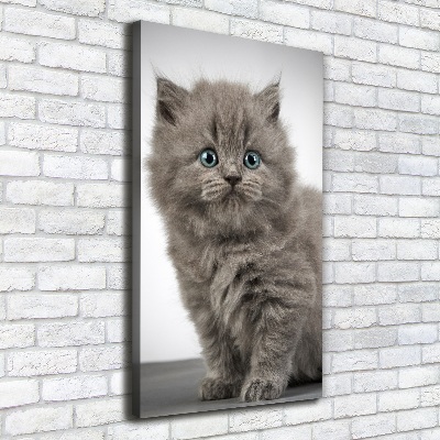 Quadro foto su tela verticale Gatto grigio britannico