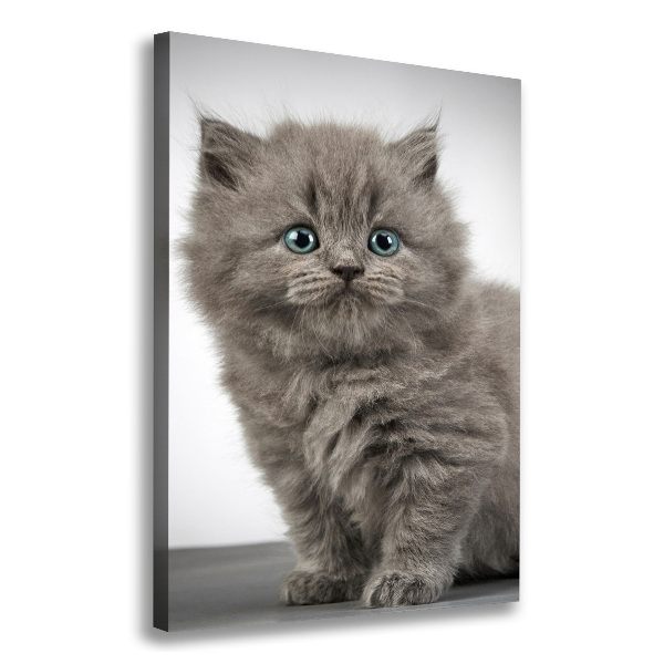 Quadro foto su tela verticale Gatto grigio britannico