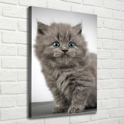 Quadro foto su tela verticale Gatto grigio britannico