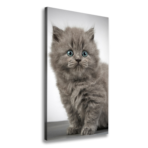 Quadro foto su tela verticale Gatto grigio britannico