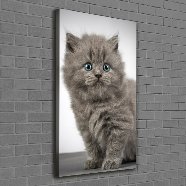 Quadro foto su tela verticale Gatto grigio britannico