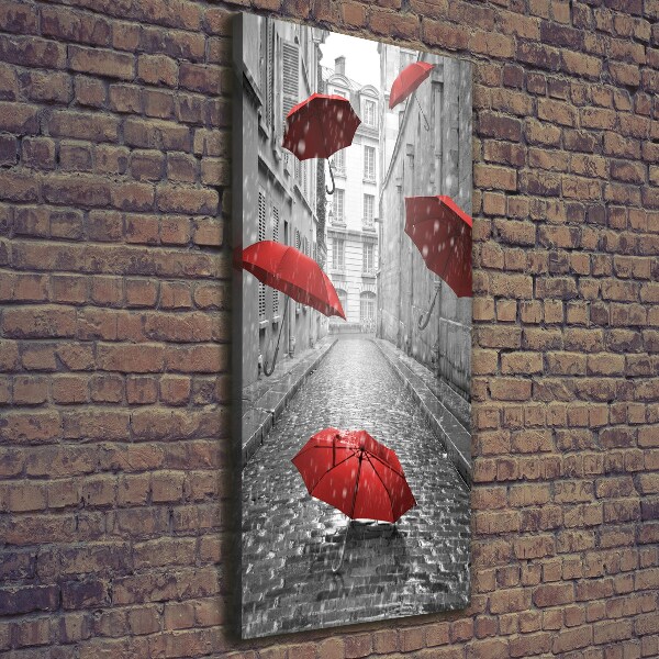 Quadro foto su tela verticale Ombrello Francia