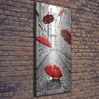 Quadro foto su tela verticale Ombrello Francia