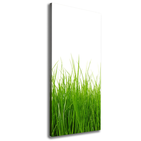 Quadro su tela canvas verticale Erba verde