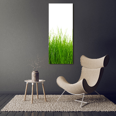 Quadro su tela canvas verticale Erba verde
