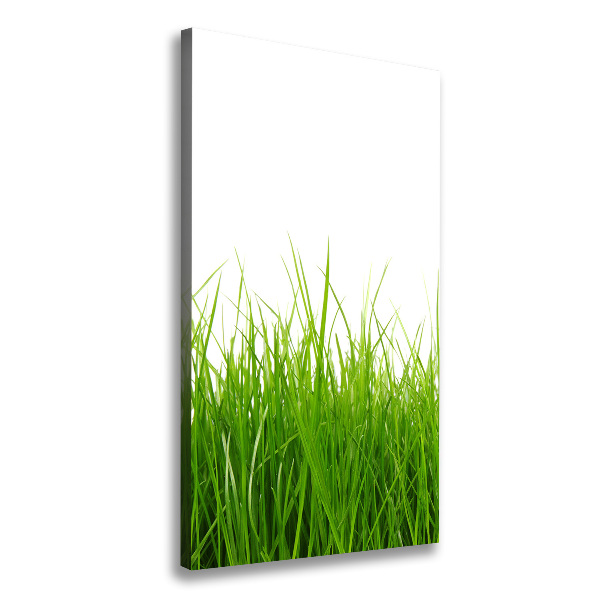 Quadro su tela canvas verticale Erba verde